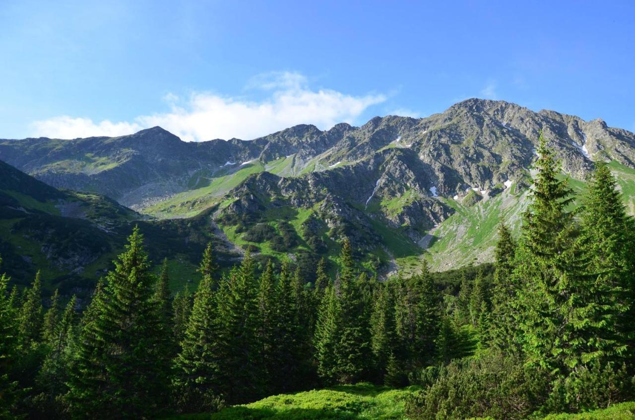 Chata Drevenica Габовка Экстерьер фото