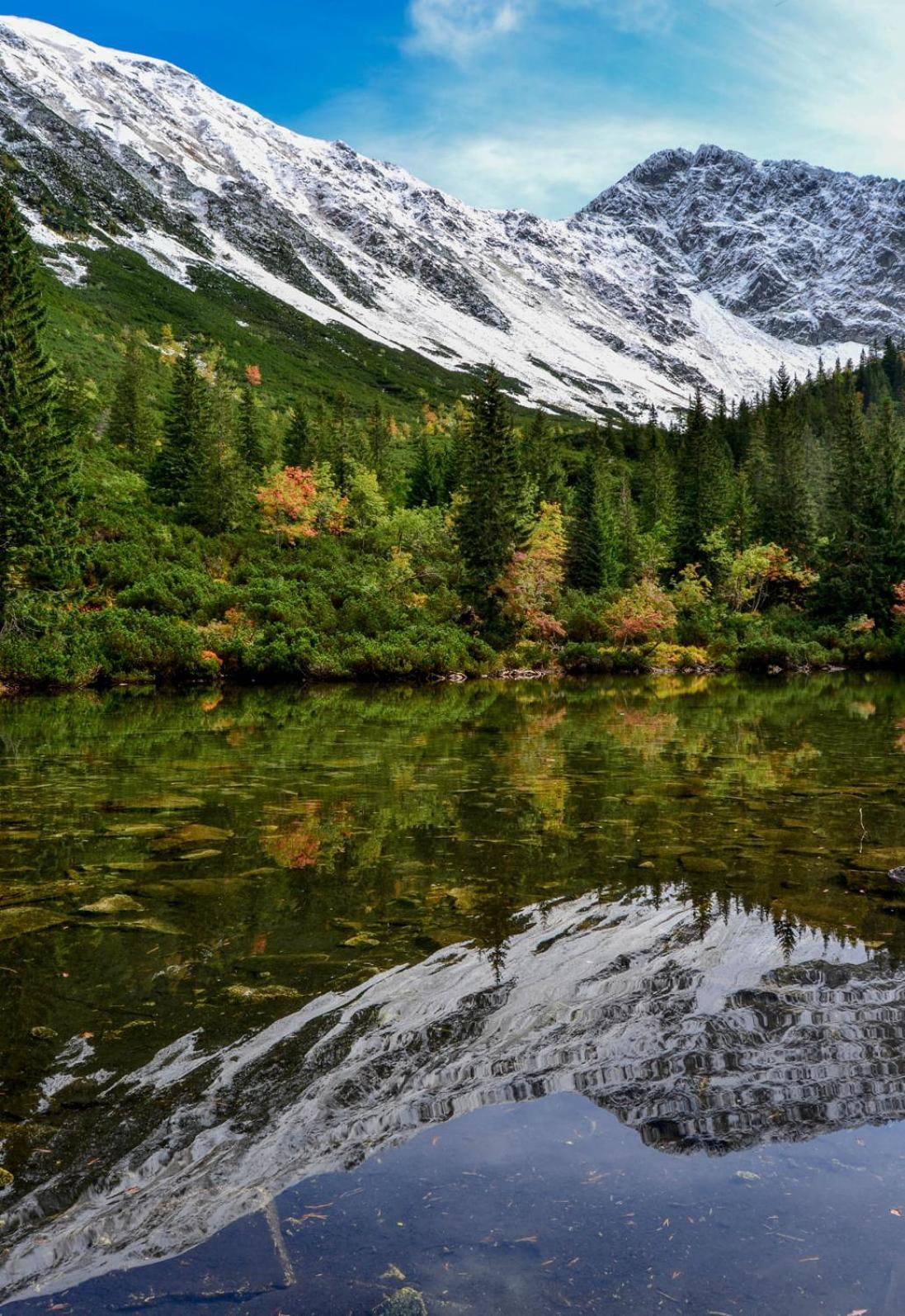 Chata Drevenica Габовка Экстерьер фото