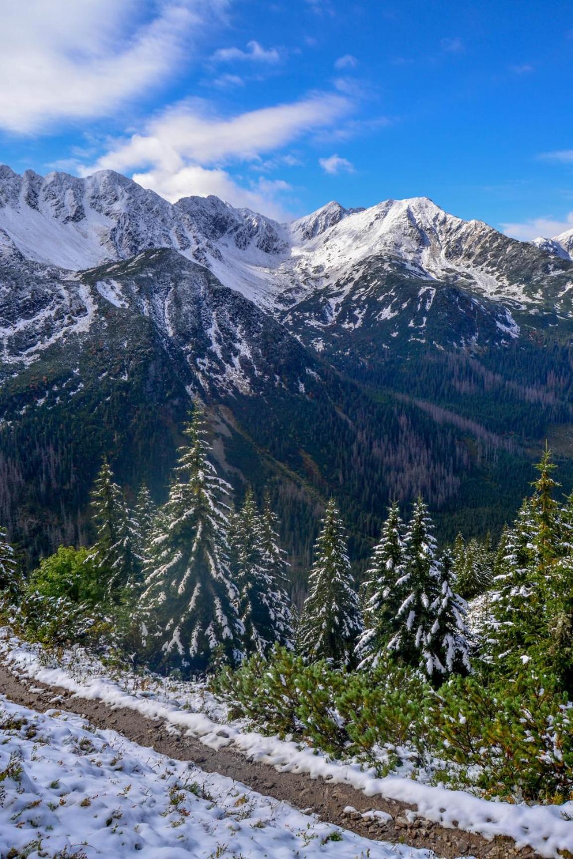 Chata Drevenica Габовка Экстерьер фото