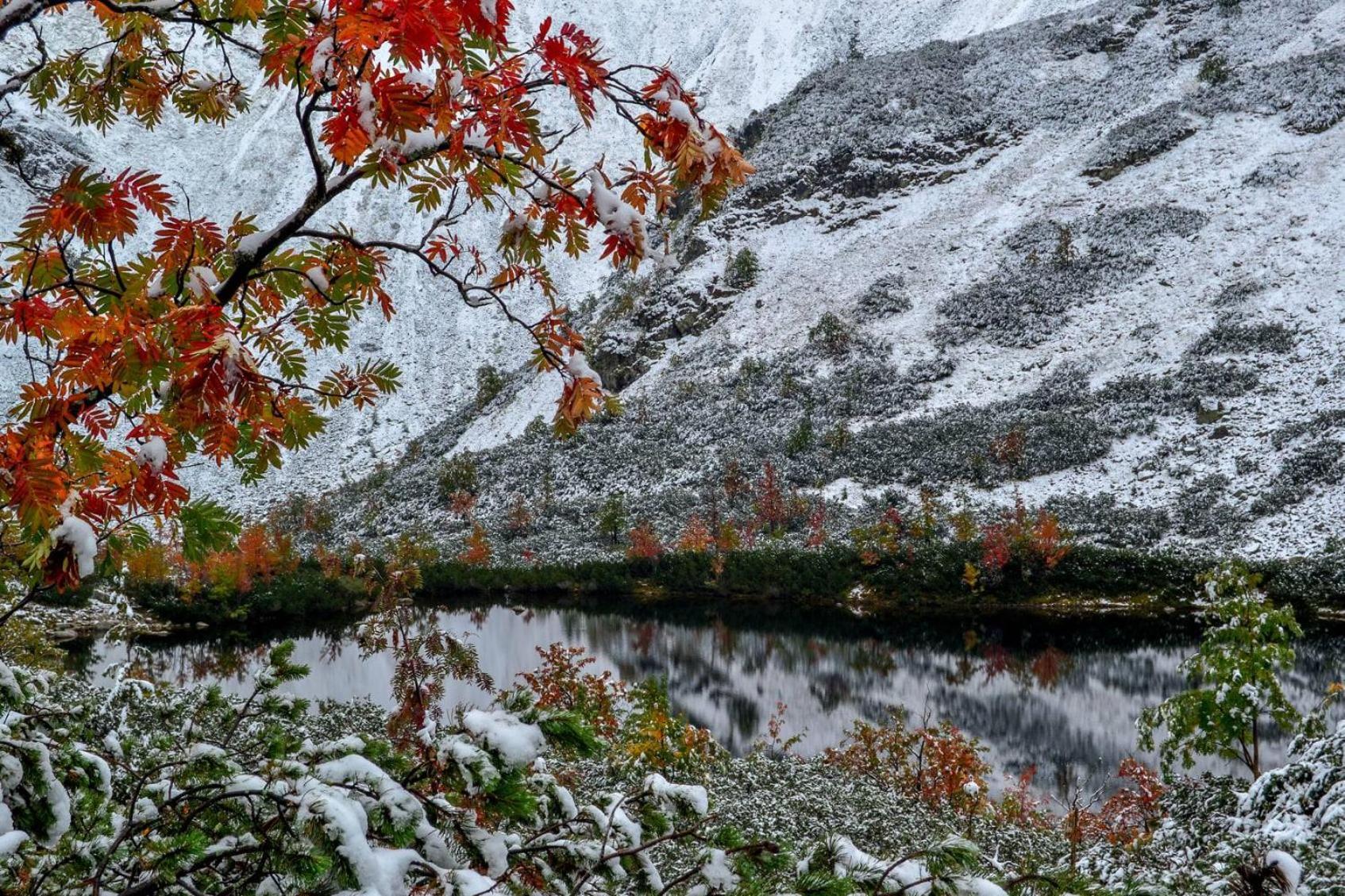 Chata Drevenica Габовка Экстерьер фото
